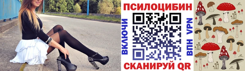 Галлюциногенные грибы мицелий  как найти наркотики  Колпашево 